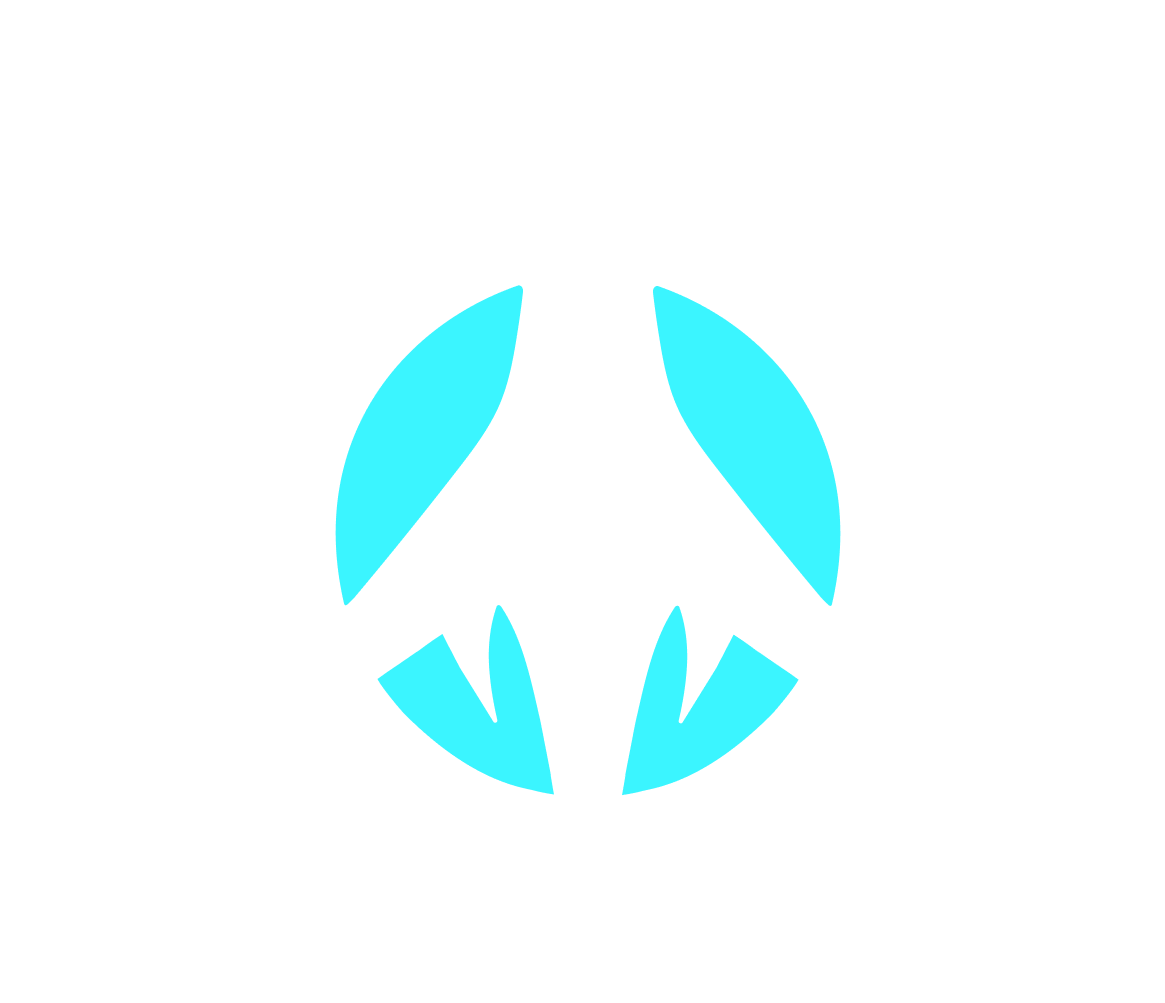 Open Orion Logo